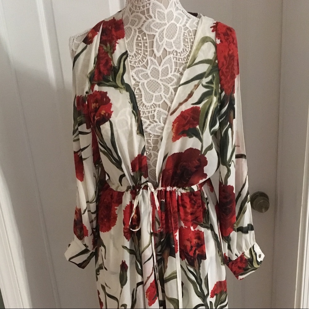 Long sleeved rose printed maxi dress/coverup.